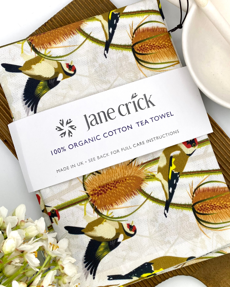Jane Crick